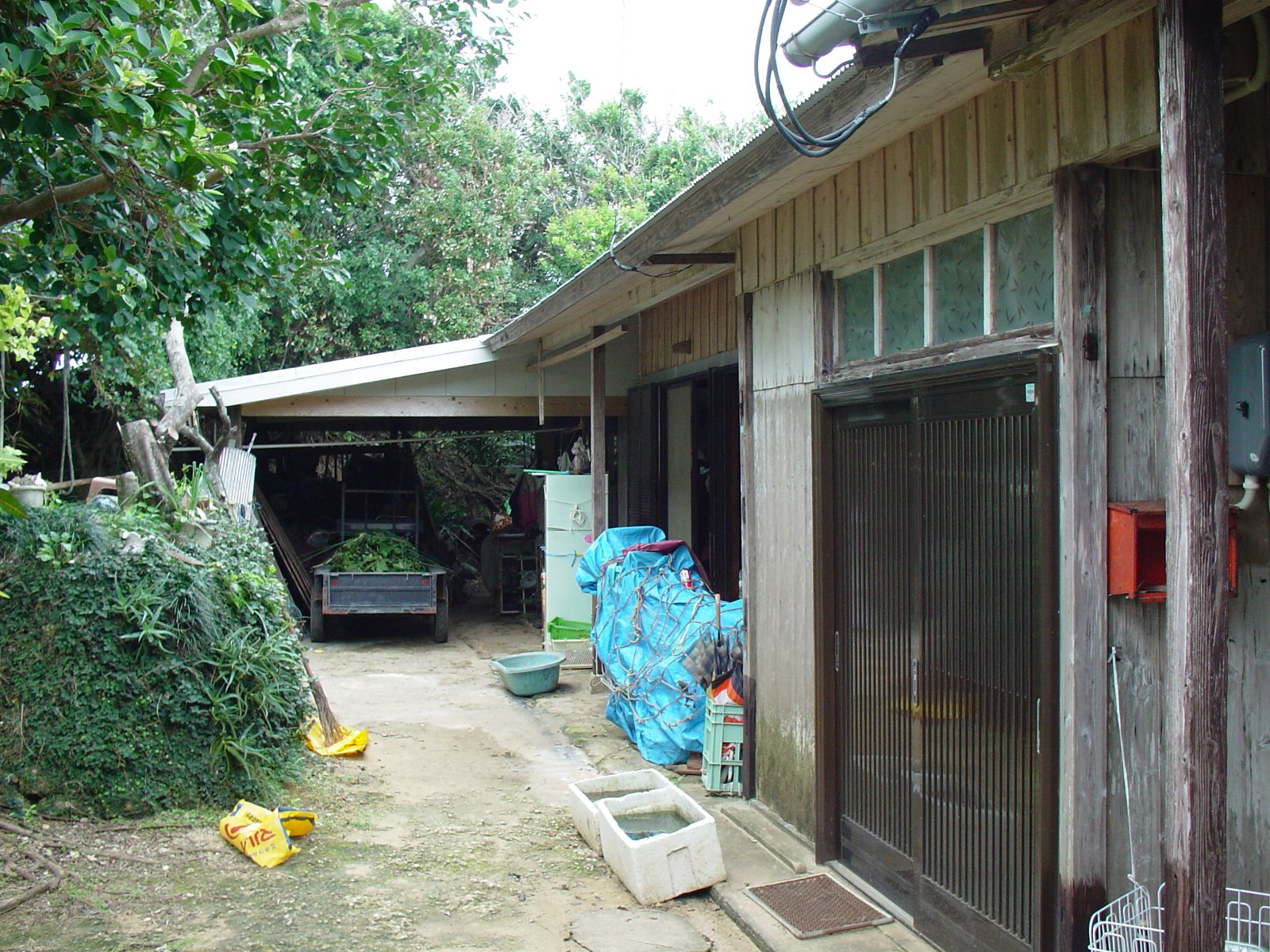 先人の知恵が台風に勝った？_e0032991_2342757.jpg