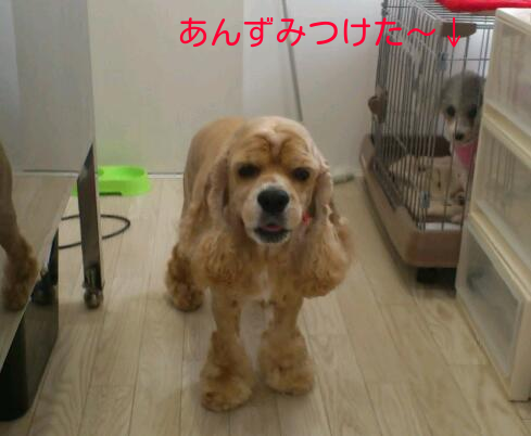 b0237894_17404711.png
