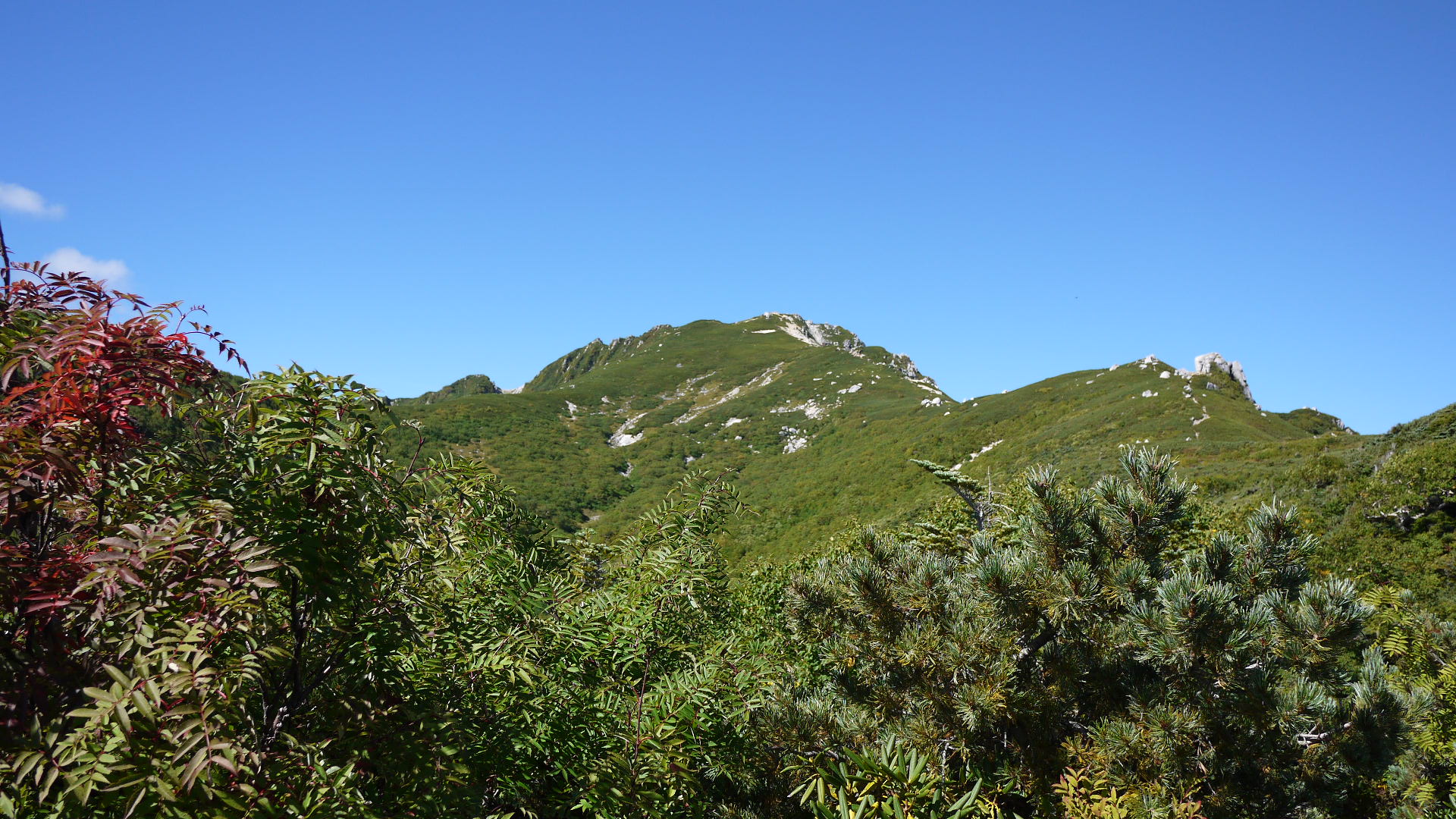 9/16（日）　中央ア　空木岳（2764ｍ）日帰り登山　_c0133096_1558411.jpg