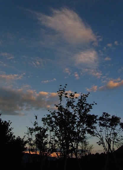 b0167997_21232258.jpg