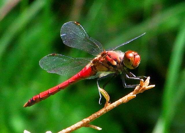 b0167997_2132236.jpg