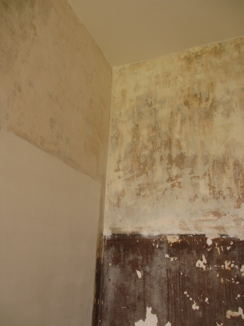 a0193698_203479.jpg