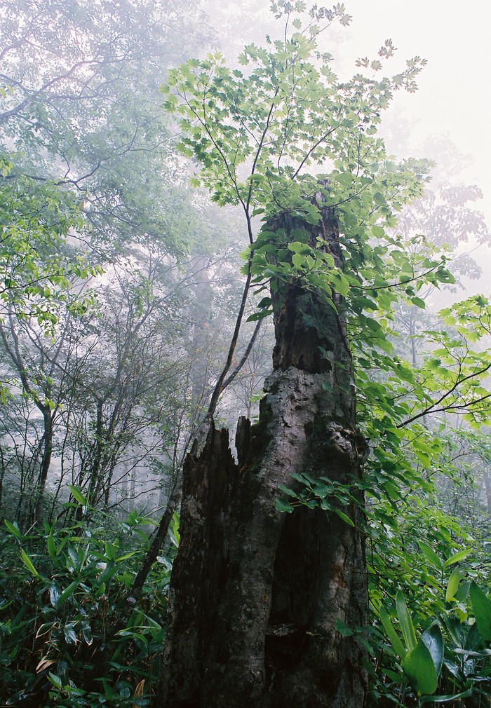 f0220698_112497.jpg