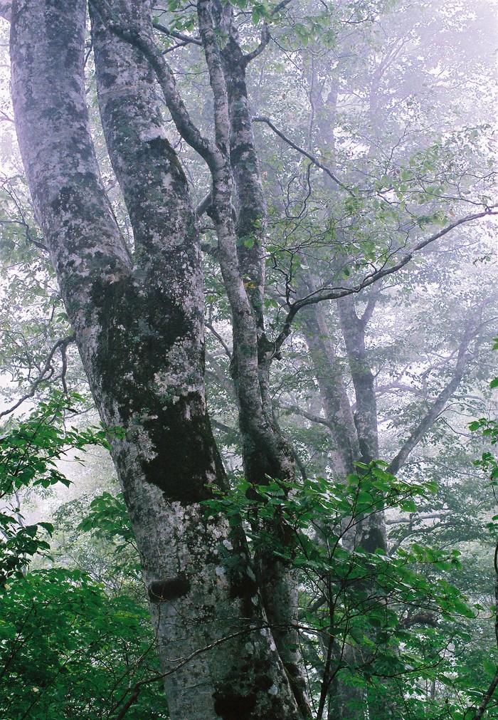 f0220698_116220.jpg