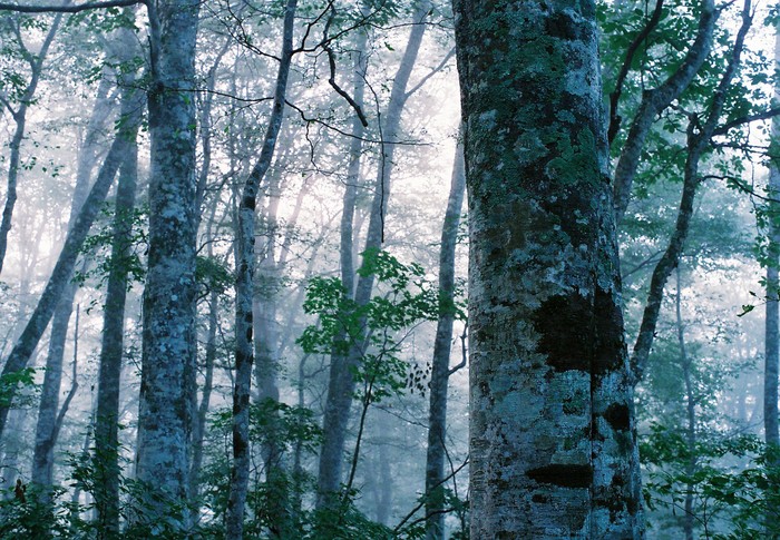 f0220698_1165751.jpg