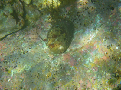 e0205502_20215557.jpg