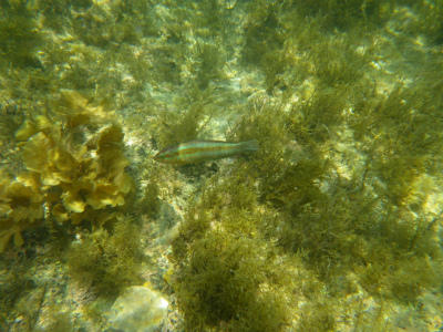e0205502_20255633.jpg