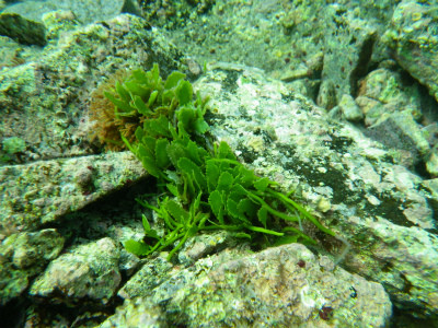 e0205502_20484454.jpg