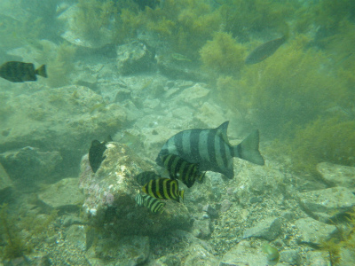 e0205502_20493970.jpg