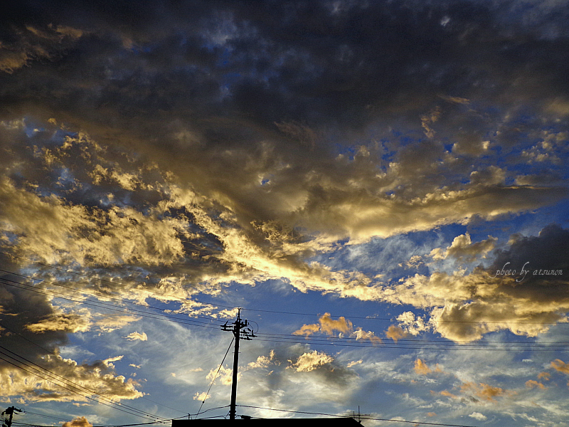 朝景　2012/09/18_b0191204_1755569.jpg