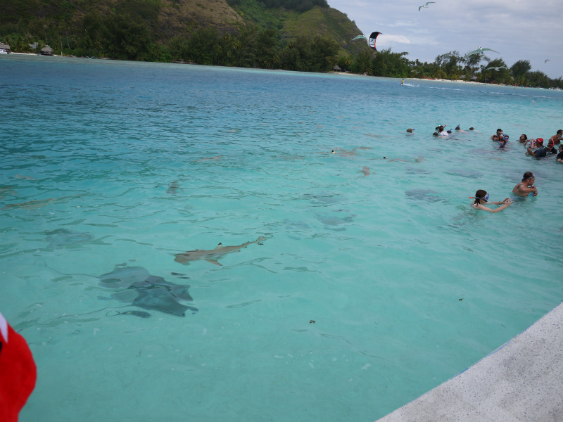 Tahiti ～風景～_f0237005_23235858.jpg