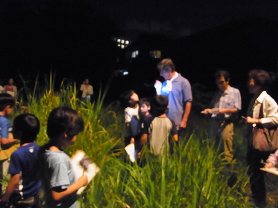 すみれば探検隊_b0049307_1534080.jpg