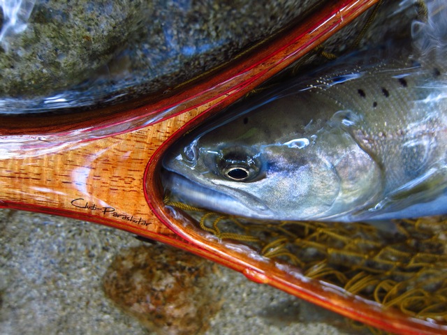 f0137709_0323340.jpg