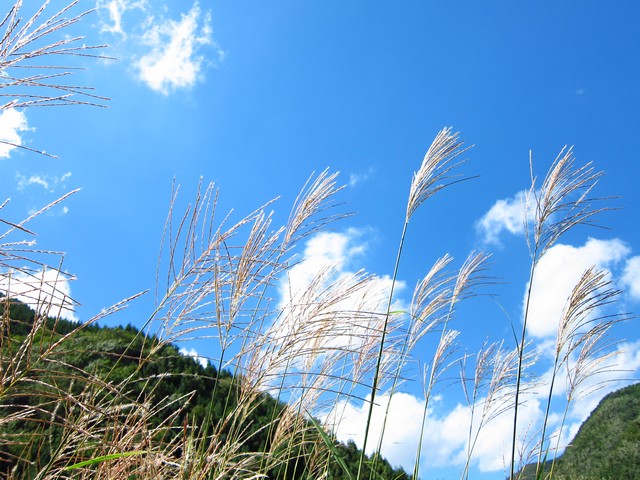 f0137709_1448.jpg