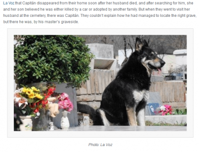 e0075412_651561.png