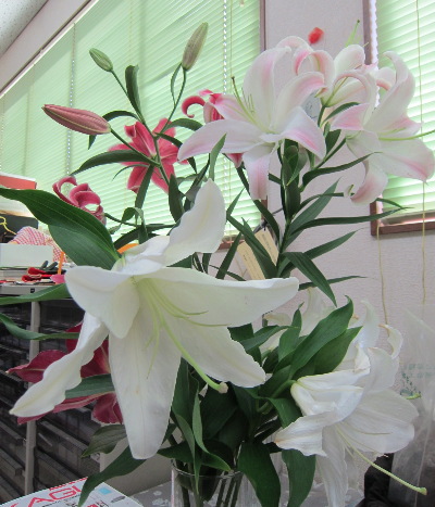 アイスダンサ~_f0067514_871725.jpg