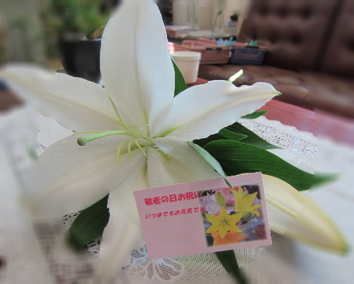 アイスダンサ~_f0067514_875770.jpg