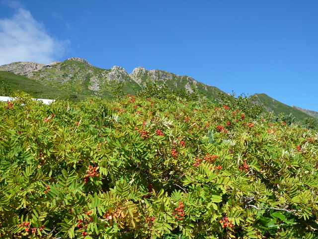 日本百名山　御嶽山　(3,067M) に登る_d0170615_9515433.jpg