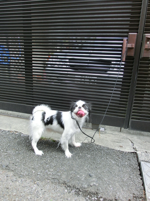 c0200916_23342246.jpg