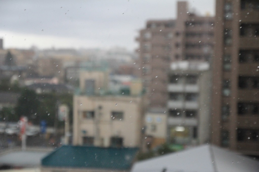 にわか雨_d0002320_2145176.jpg