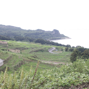 f0119425_9392494.jpg