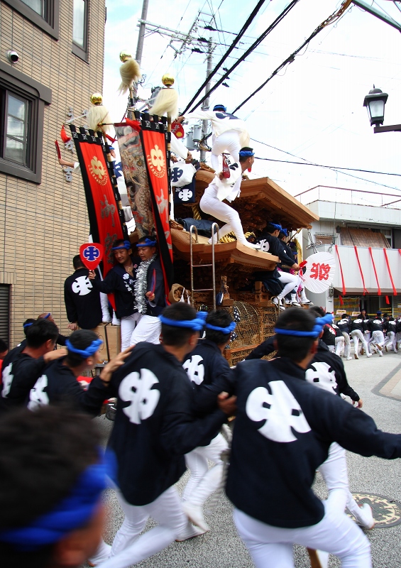 岸和田だんじり祭り⑦　　移動中のスナップ ２_d0192727_23275737.jpg