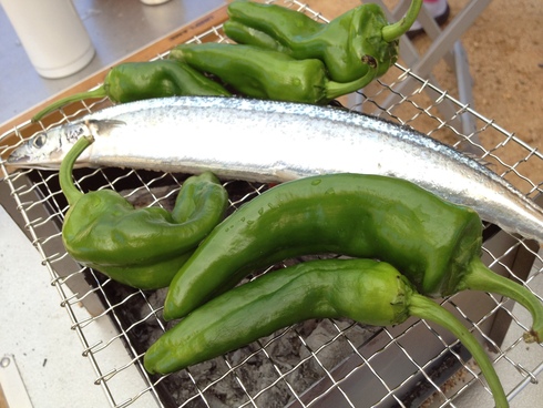BBQコンロ_d0085634_1643161.jpg