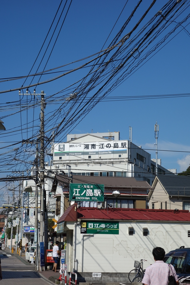 a0287336_639256.jpg