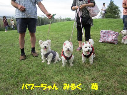 第10回北海道ウエスティオフ会♪_c0212637_0283018.jpg