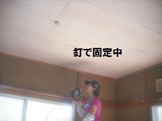 f0031037_21304527.jpg