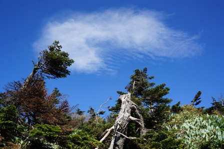 c0204740_19372646.jpg
