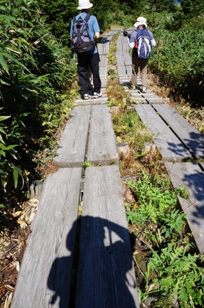 c0204740_19384879.jpg