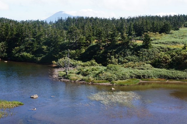 c0204740_19491655.jpg