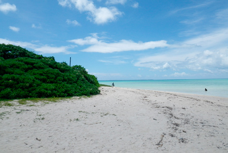 f0209740_17195651.jpg