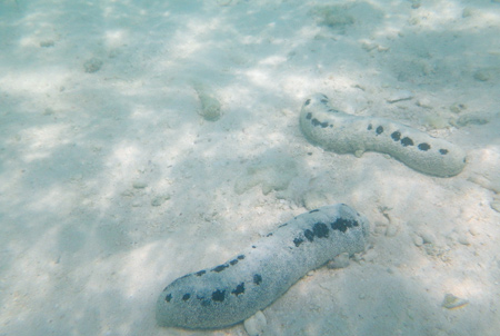 f0209740_17484211.jpg
