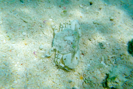 f0209740_17522666.jpg