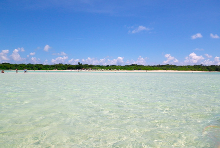 f0209740_1812838.jpg