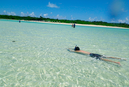 f0209740_183283.jpg
