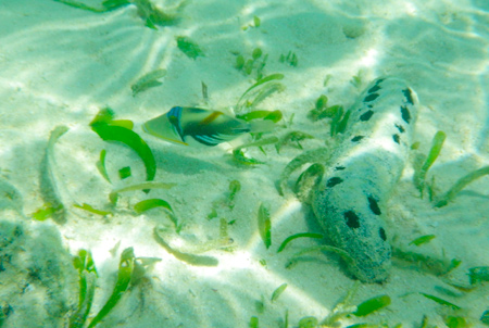 f0209740_1863220.jpg