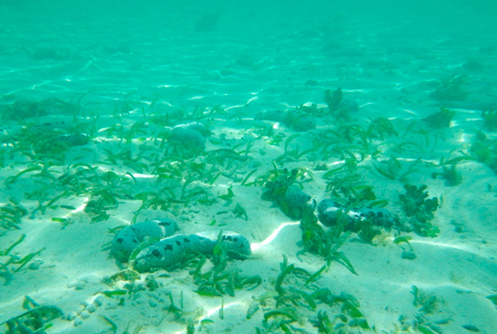 f0209740_188364.jpg