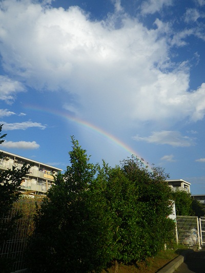 f0211843_1744714.jpg