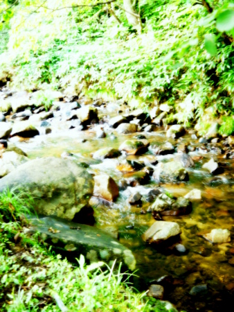 c0199544_1242154.jpg