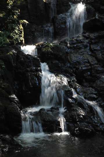 c0093046_8511512.jpg