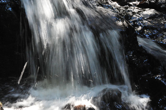 c0093046_8521426.jpg
