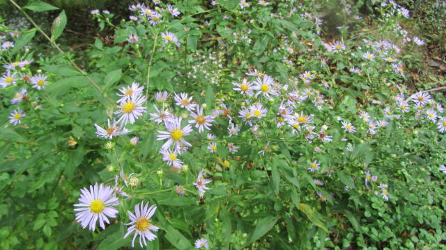 b0247153_921685.jpg