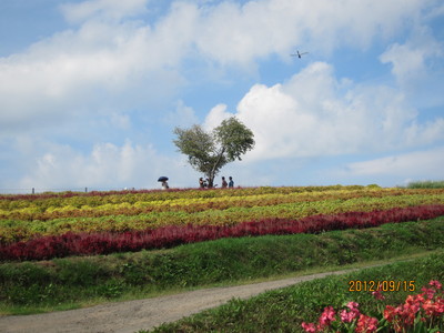 北海道の思い出_a0027555_8221759.jpg