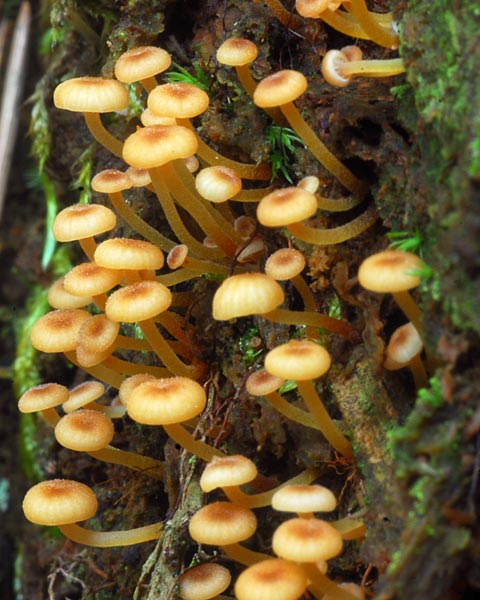 e0035757_18592385.jpg