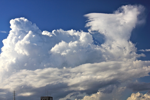 a0248459_19424437.jpg