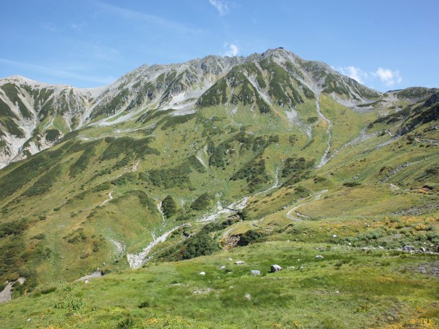 a0248459_424178.jpg