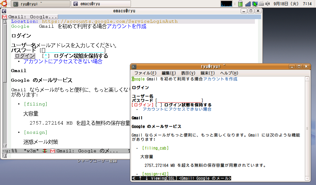 Gmail w3m ログインできない_d0077759_16443965.png